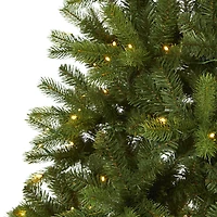 6ft. Pre-Lit New Haven Spruce Artificial Christmas Tree, Clear LED Lights