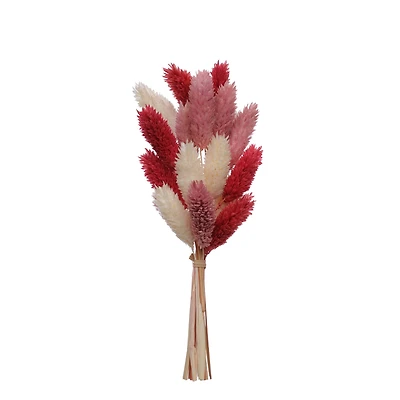Red & Pink Canary Grass Dried Mini Bundle by Ashland®