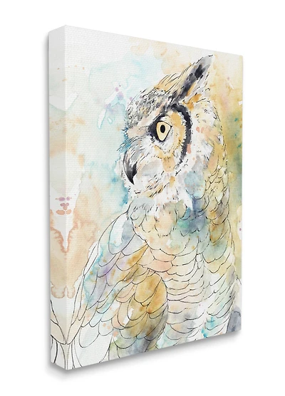 Stupell Industries Owl Side Eye Portrait Woodland Bird Watercolor Canvas Wall Art