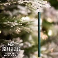 Scentsicles Spiced Pine Cones Scented Paper Stick Ornaments, 12ct.