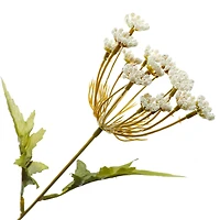 36" Cream Queen Anne's Lace Stem by Ashland® 
