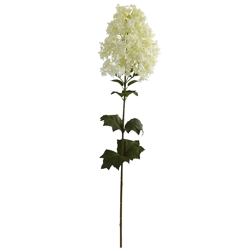 White Peegee Hydrangea Stem, 2ct.