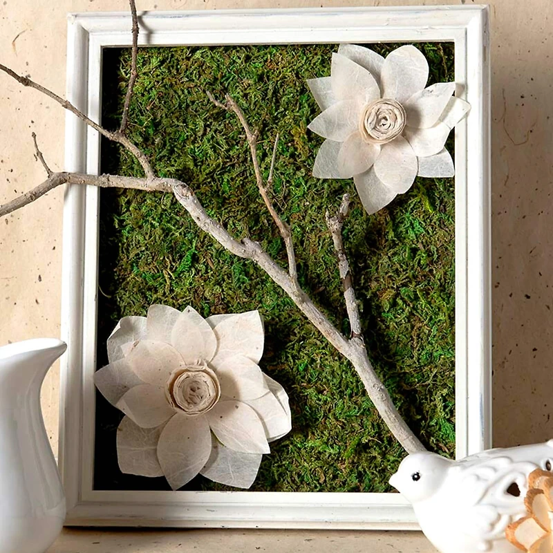 SuperMoss® Instant Green All-Purpose Moss Mat