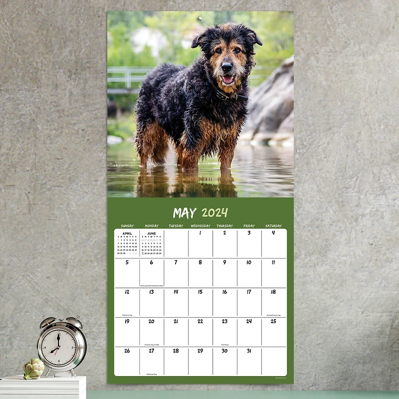TF Publishing 2024 Mutts Wall Calendar