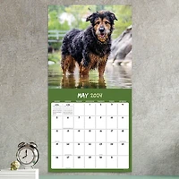 TF Publishing 2024 Mutts Wall Calendar