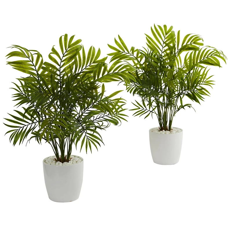19.5" Palms in White Planter, 2ct.