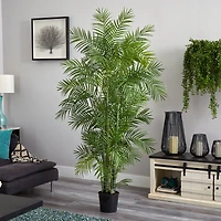 6ft. Potted Areca Silk Palm Tree