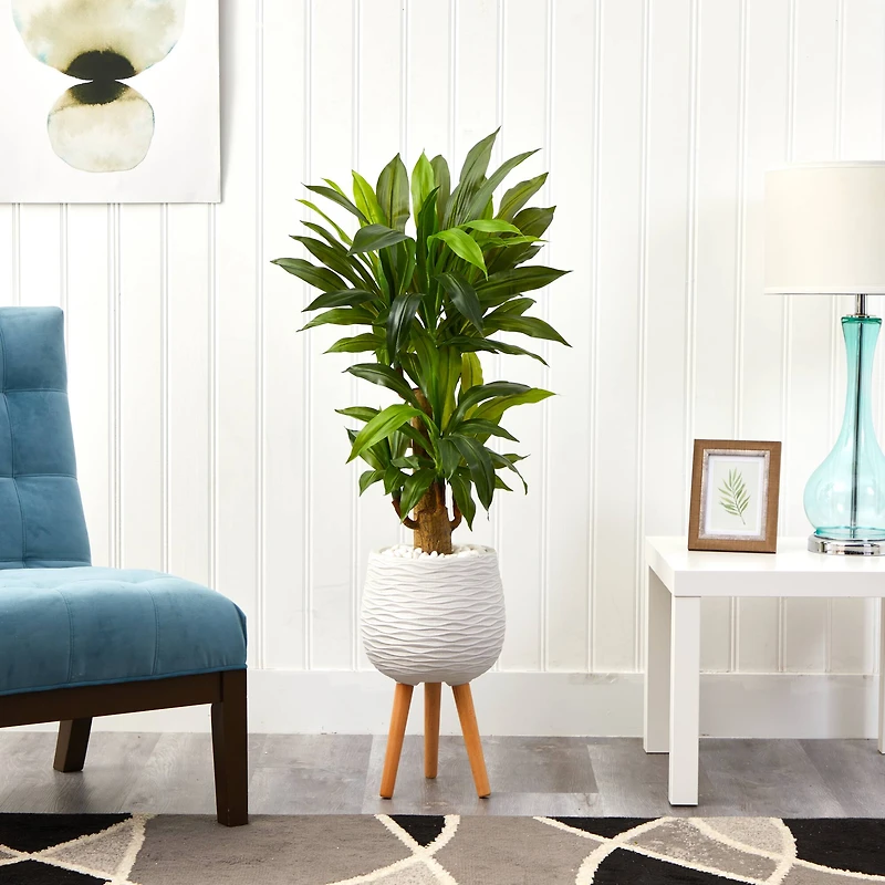 4ft. Corn Stalk Dracaena Plant in White Planter with Stand