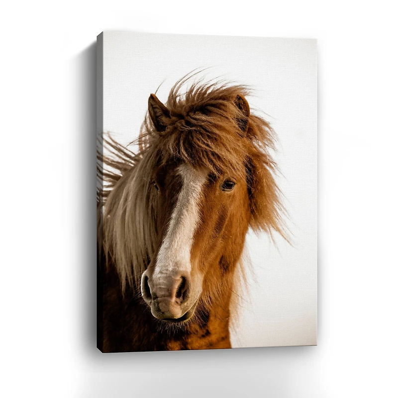 Sunset Light Canvas Giclee