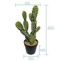 16" Potted Cactus Plant by Ashland®