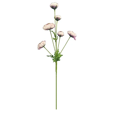 32" Ranunculus Stem with Leaves by Ashland