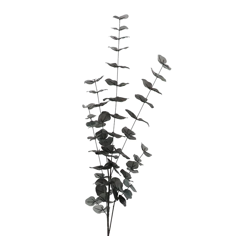 Tall Black Eucalyptus Stem by Ashland®