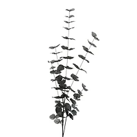 Tall Black Eucalyptus Stem by Ashland®