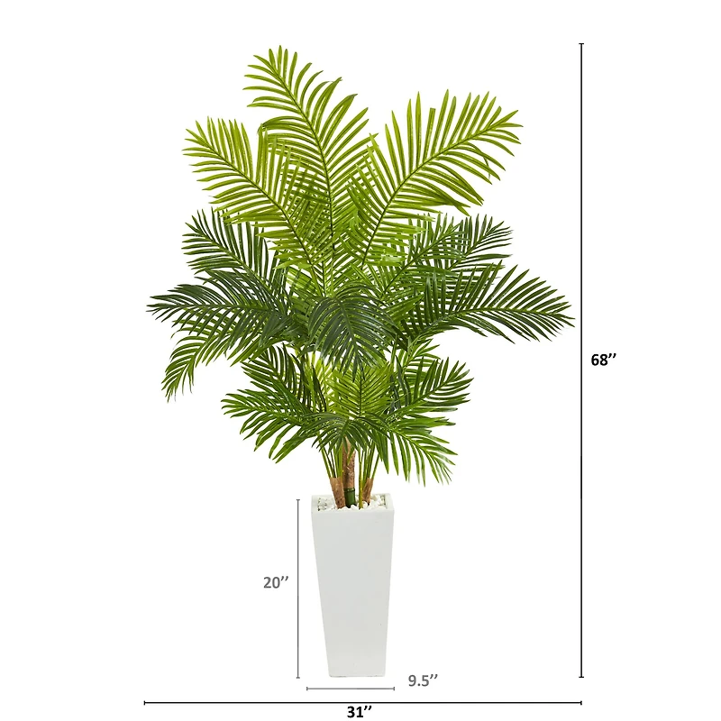 5.5ft. Hawaii Palm Tree in Tall White Planter