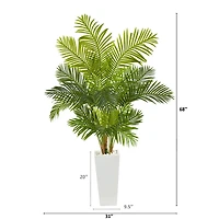 5.5ft. Hawaii Palm Tree in Tall White Planter