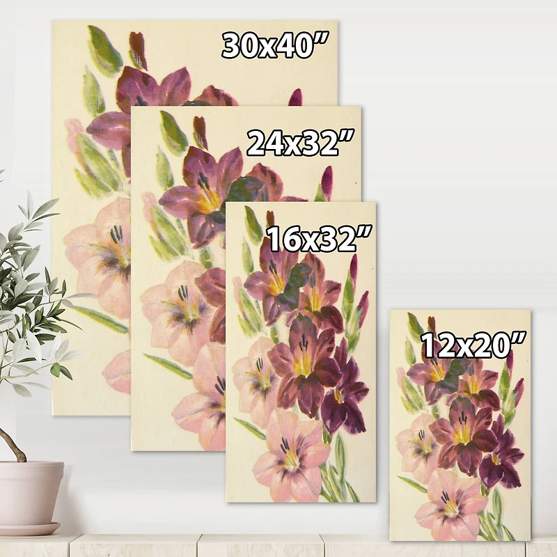 Designart - Retro Light and Dark Pink Gladiolus