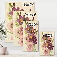Designart - Retro Light and Dark Pink Gladiolus