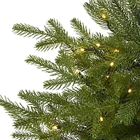 4ft. Pre-Lit Swedish Fir Artificial Christmas Tree with Warm White LED Lights