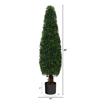 4ft. Potted Boxwood Cone Topiary Tree