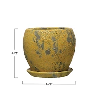 Hello Honey® 5" Distressed Yellow Terra Cotta Planter with Saucer Set