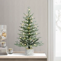 3ft. Pre-Lit Blue Arctic Fir Artificial Potted Christmas Tree, Warm White LED Lights