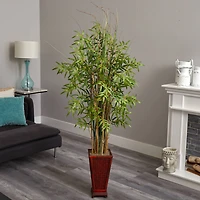 5.5ft. Grass Bamboo Plant in Decorative Planter
