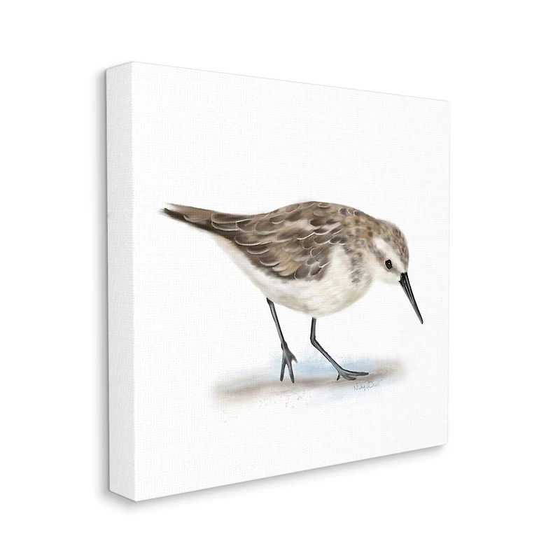 Stupell Industries Charming Sandpiper on Soft Sand Brown Nautical Bird Canvas Wall Art