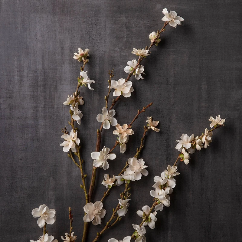 12 Pack: Cream Peach Blossom Stem by Ashland®