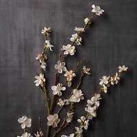 12 Pack: Cream Peach Blossom Stem by Ashland®