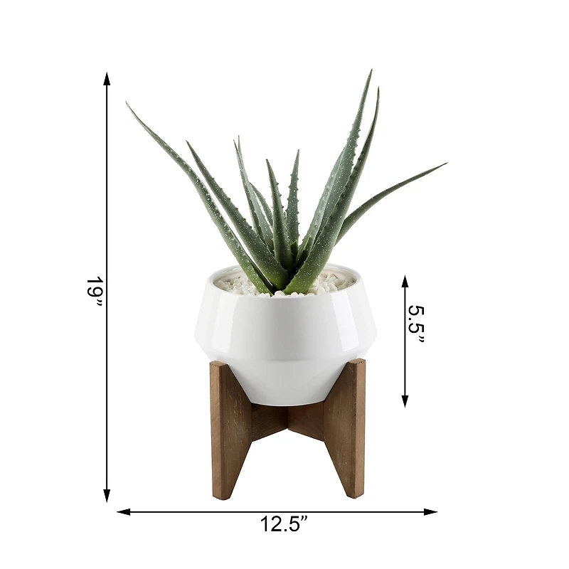 Flora Bunda® 20" Aloe In 8.5" Geo Ceramic Pot On Wood Stand