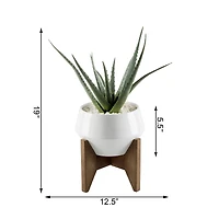 Flora Bunda® 20" Aloe In 8.5" Geo Ceramic Pot On Wood Stand