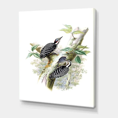 Designart - Vintage Birds In The Wild V