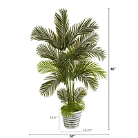 5.5ft. Areca Palm Tree in Decorative Tin Bucket