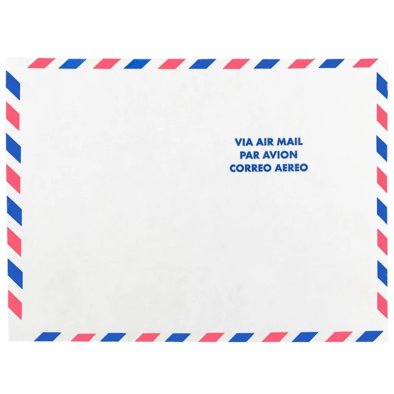 JAM Paper 9" x 12" White Airmail Tyvek Envelopes, 25ct.