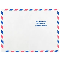 JAM Paper 9" x 12" White Airmail Tyvek Envelopes, 25ct.