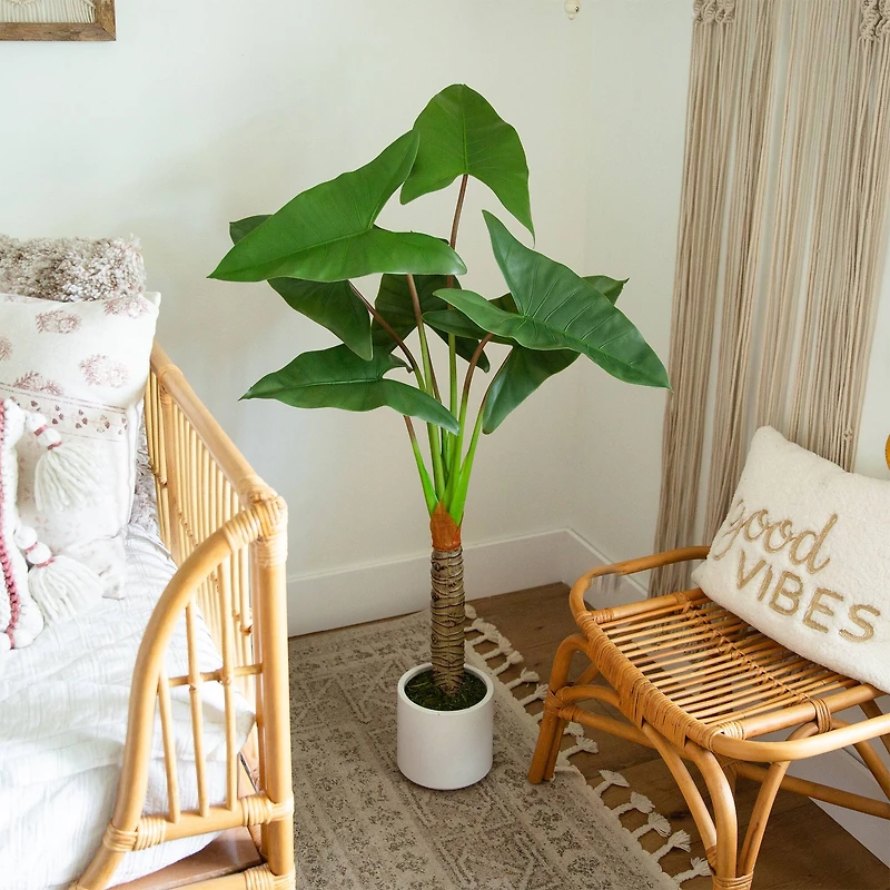 4.5ft. Arrowhead Philodendron in White Decorative Planter