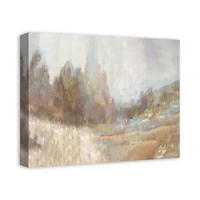 Calming Field 20" x 16" Canvas Wall Art