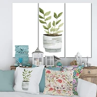 Designart - Indoor Green Home House Plants II