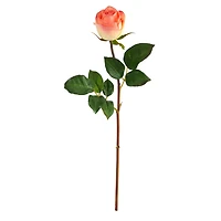 Peach & Cream Rose Bud Stem, 6ct.