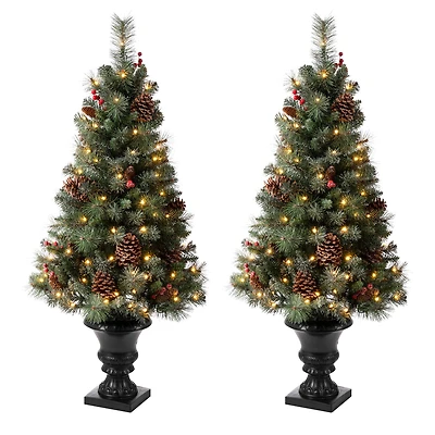 2 Pack 4ft. Pre-Lit Flocked Pinecone & Berry Fir Artificial Christmas Tree in Planter, Warm White Lights