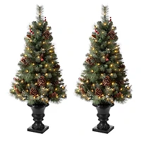 2 Pack 4ft. Pre-Lit Flocked Pinecone & Berry Fir Artificial Christmas Tree in Planter, Warm White Lights