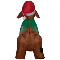 4ft. Airblown® Inflatable Christmas Dachshund with Green Sweater