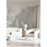 Katie Hunt Dove Gray In the Clouds Wall Mural