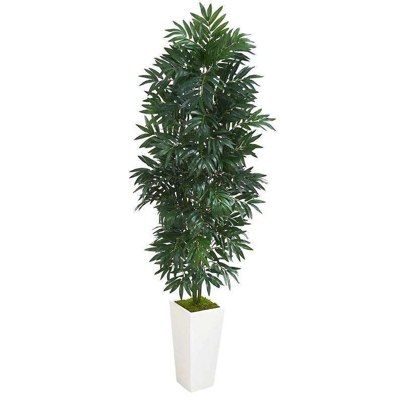 5ft. Bamboo Tree in White Planter