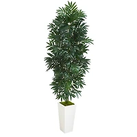 5ft. Bamboo Tree in White Planter