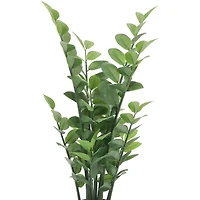 2.5ft. Potted Zanzibar Gem Plant by Ashland®