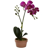13" Orchid with Clay Vase, 4ct.