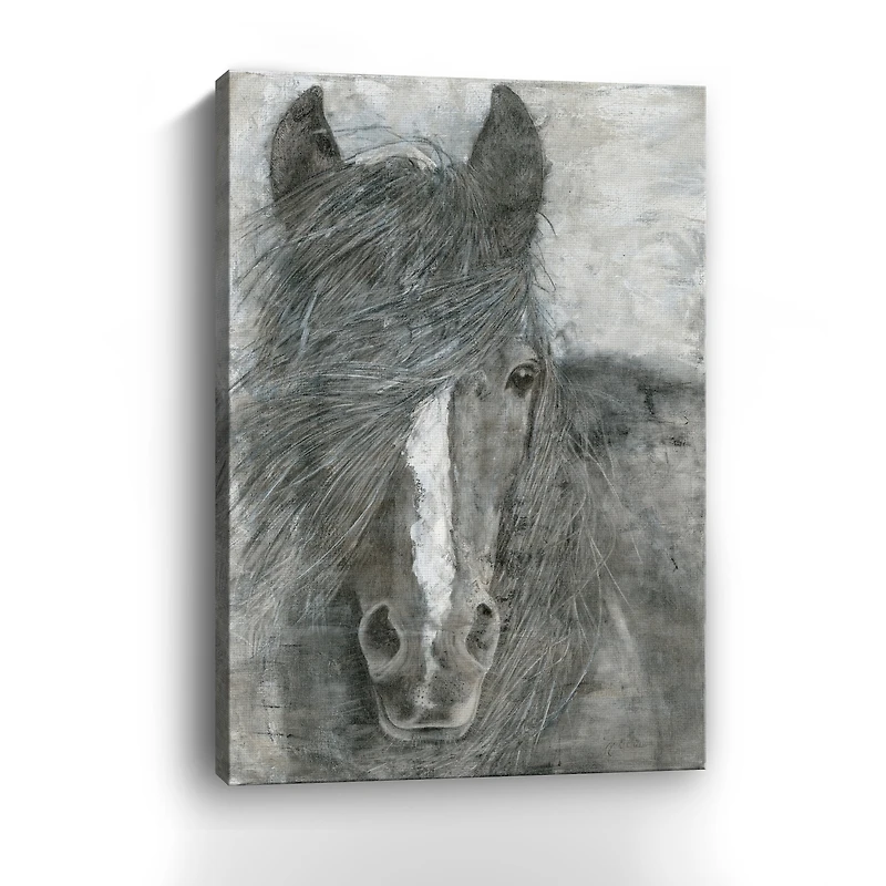 Horse In The Wind Canvas Giclee