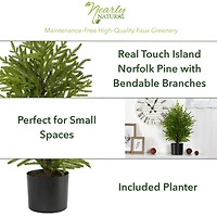 2ft. Unlit Norfolk Island Pine Artificial Potted Christmas Tree