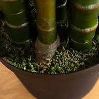 8ft. UV Resistant Areca Palm Tree